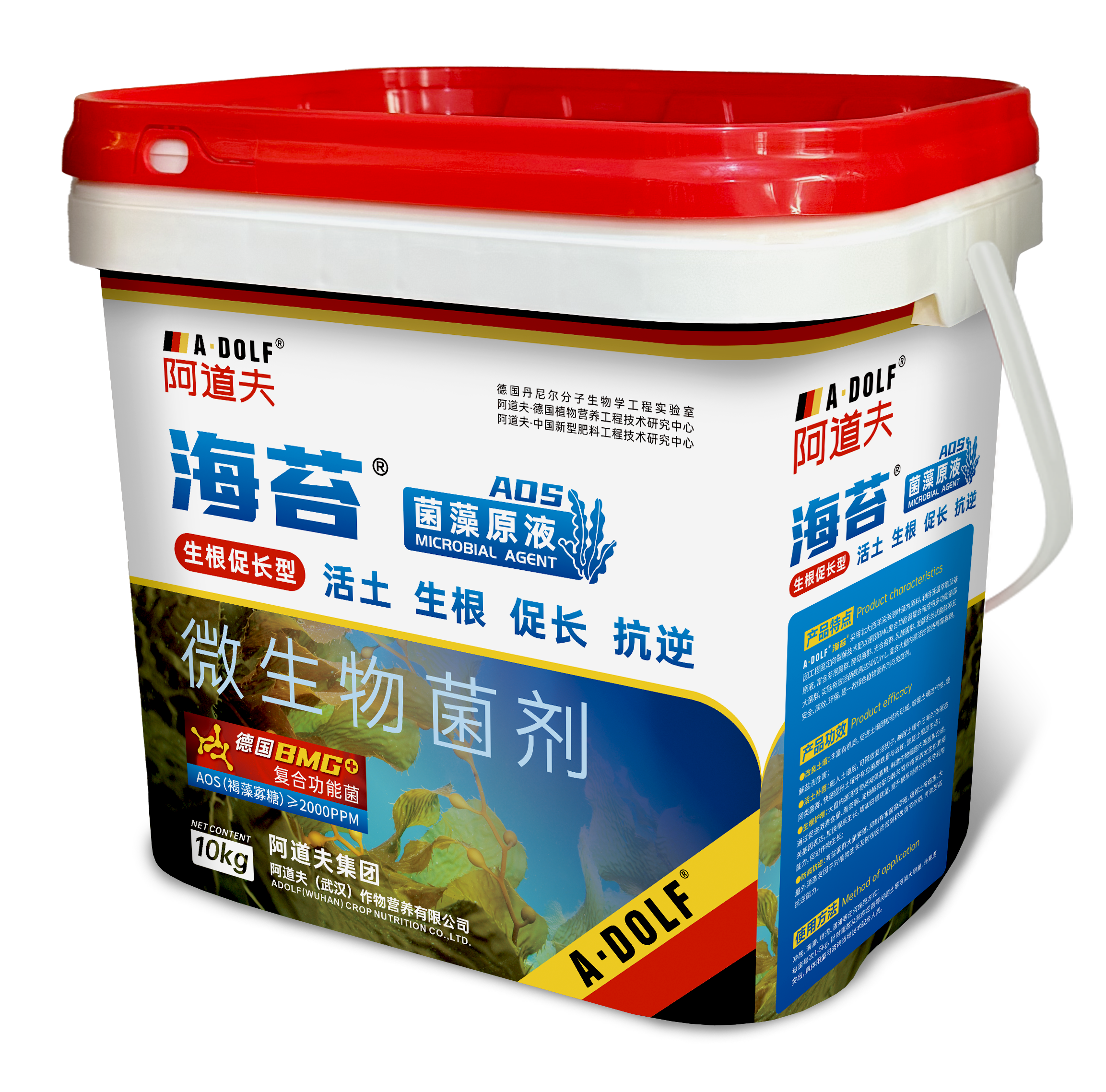海苔